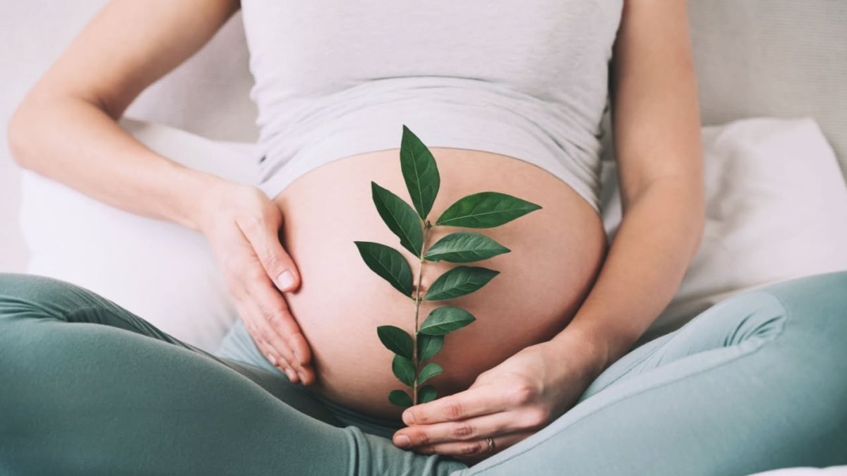 Barriga de gestante com folha verde, simbolizando a preparação natural do corpo para engravidar